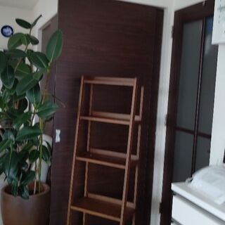 シェルフ、棚の画像