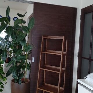 シェルフ、棚の画像