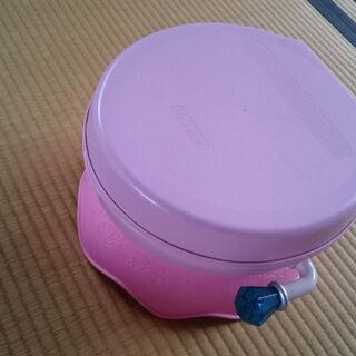 ディズニープリンセス　トイレトレーニングシート