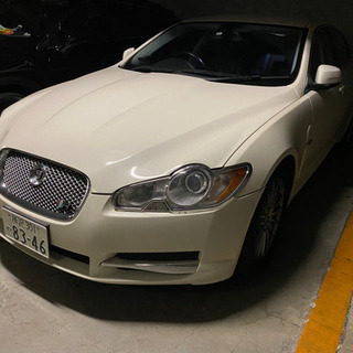 かっこいいジャガー、格安ですが。