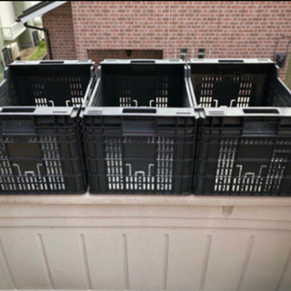 欧州産の輸入果実が入っていた収穫コンテナ 3個