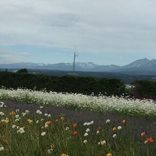 何が真実かわからない時だからこそ、青い空や広大な大地を眺めつつ一...