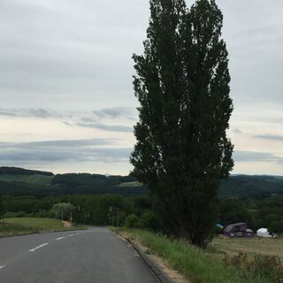 何が真実かわからない時だからこそ、青い空や広大な大地を眺めつつ一緒に素敵な未来を語り合いませんか。 - 新宿区