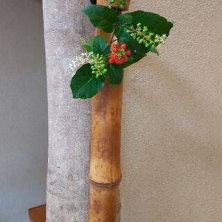 茶道のお稽古、ご一緒しませんか？　翠香会（すいこうかい）
