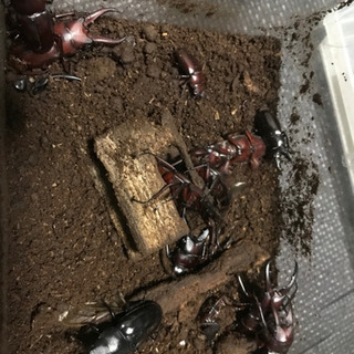 交換