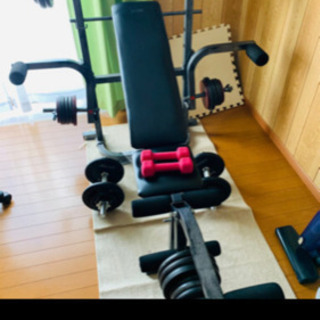 ベンチプレス&ダンベル