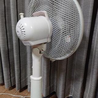 扇風機の画像