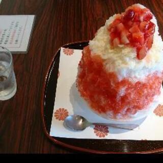 かき氷食べに行きませんか🍧
