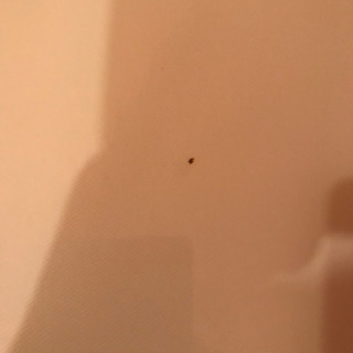 アルバムの画像