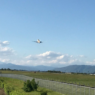 土日に楽しくウォーキング🏃‍♂️🏃‍♂️