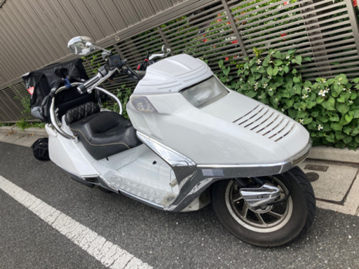 乗換格安　カスタムフュージョンXMF02ローダウン車