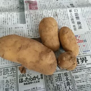 シャドークイーンの画像