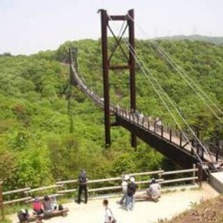 7月17日(土)大阪府民の森 お散歩会開催♪