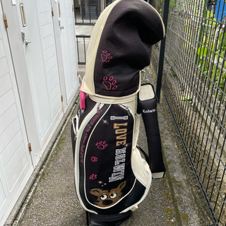 本間ドライバー含 レディース ゴルフクラブフルセット