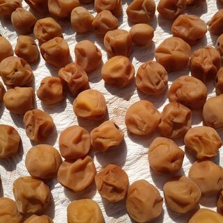 昔ながらの塩っぱい梅干し1個