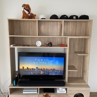 【最終値下げ】猫と暮らすインテリア テレビ台 キャットウォーク ...