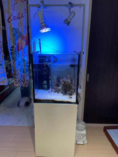 【お話中】オーバーフロー水槽　450×450×600 分けあり　格安