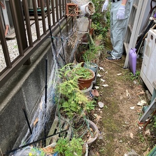 庭の手入れ