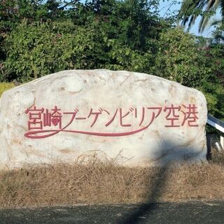 空港への送迎、引っ越し手伝い