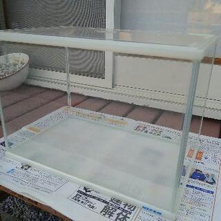 【決まりました】水槽ニッソー　（メダカ　金魚用）