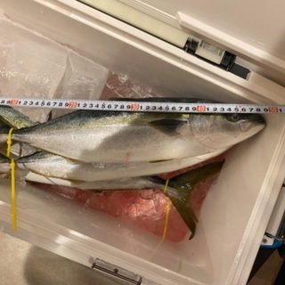 釣り友募集 - その他