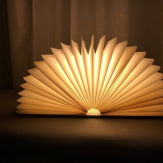 【配送・直接引渡OK】未使用品　見た目は本！中身はライト！