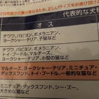 ペット　紙おむつ　Sの画像