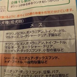 ペット　紙おむつ　Sの画像