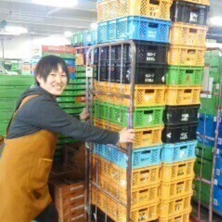 ＜短期＞生協宅配商品倉庫での軽作業スタッフ★主婦・フリーター・学...