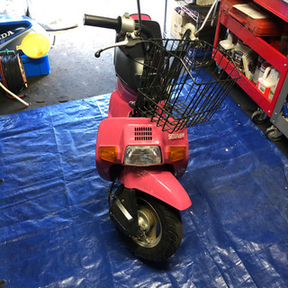 HONDA ホンダ AB11 スカッシュ スカピン セル付き 原付 50cc 旧車 レトロバイク ビンテージバイク 80s 北海道 札幌 ホンダ（HONDA） スカッシュ/デラックス | SQUASH/Deluxeの型式