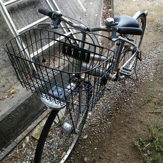 写真です。1