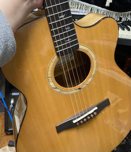 prs se alex lifeson エレアコ