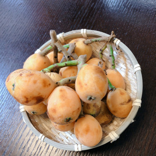枇杷　びわ　ビワ