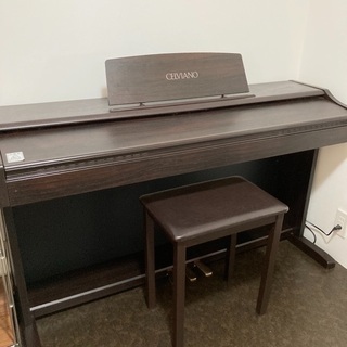 カシオ　セルヴィアーノ