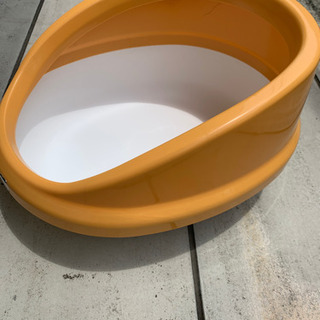 猫　トイレの画像