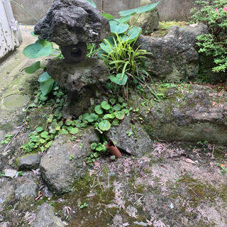庭石