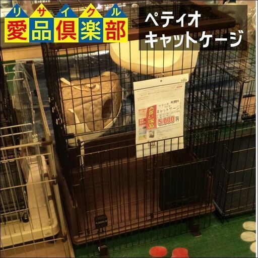 【愛品倶楽部柏店】ペティオ キャットルームサークル necoco(ネココ)【問合わせ番号：124-003912 002】