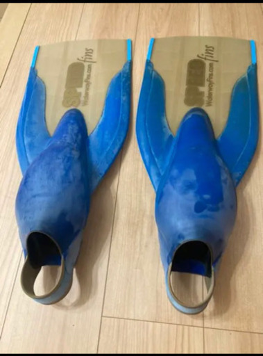 フィン、ビーフィン