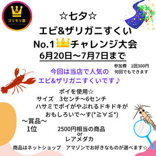 七夕🎋✨　エビ&ザリガニすくい