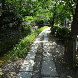 👟お散歩サークル👟