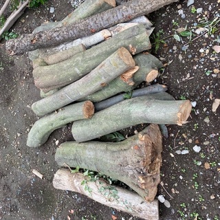 植木屋　造園　1人親方募集中の画像