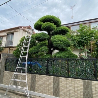 植木屋　造園　1人親方募集中の画像