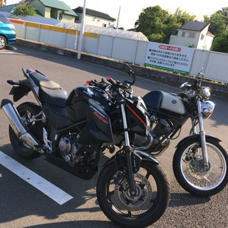 【初心者🔰】気軽なツーリング仲間募集