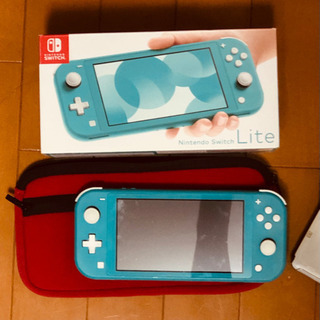 Nintendo switch light