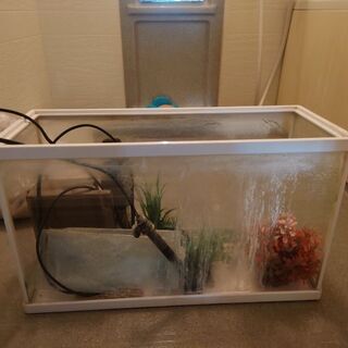 水槽等一式の画像