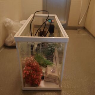 水槽等一式の画像