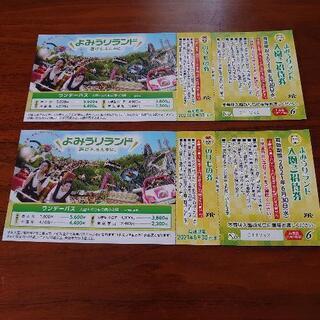 貰い手見つかりました。よみうりランドのチケット