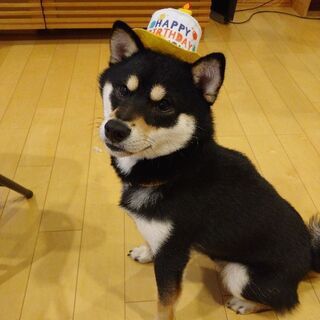 沢山応募頂きましたので1度締め切ります