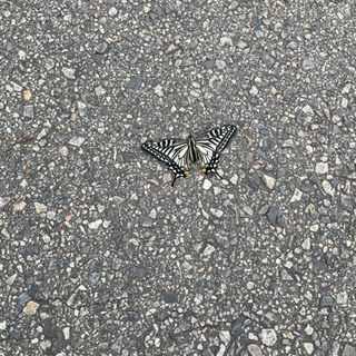 漫画同好会はじめます！