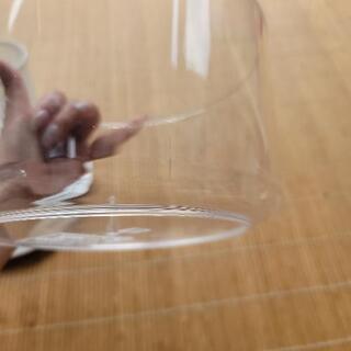 未使用☆DELISH KITCHEN パール金属 サラダスピナー 野菜水切り ホワイト 外径18.5×高さ15cm 野菜水切り器

の画像